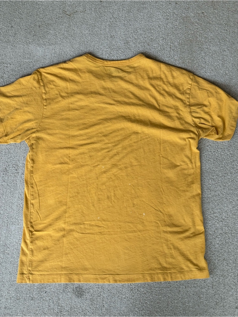 Unisex Redwood Nat’l Park Graphic Short Sleeve Tee - Mustard - Picture 6 of 7